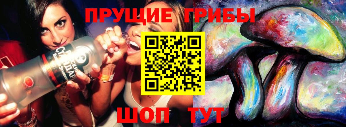 что такое   Вход с VPN  Бийск  Псилоцибиновые грибы Psilocybe 